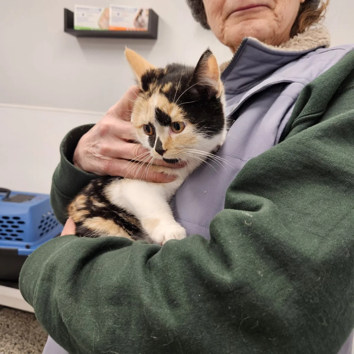 Roxy being held by one of her owners