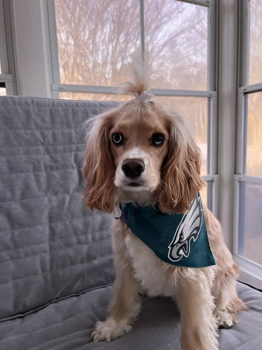 Sadie, go birds!
