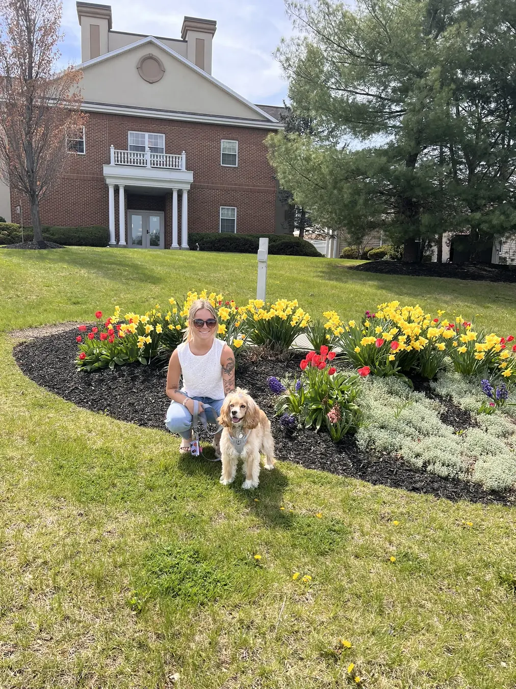 Sadie, tulip time
