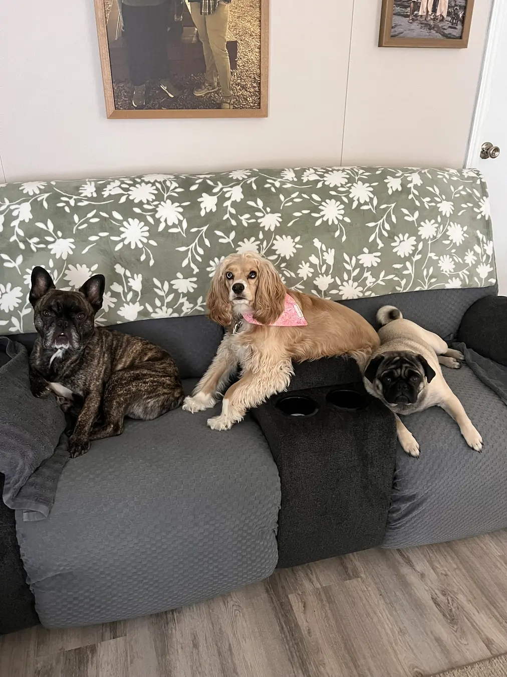 Sadie, the whole crew
