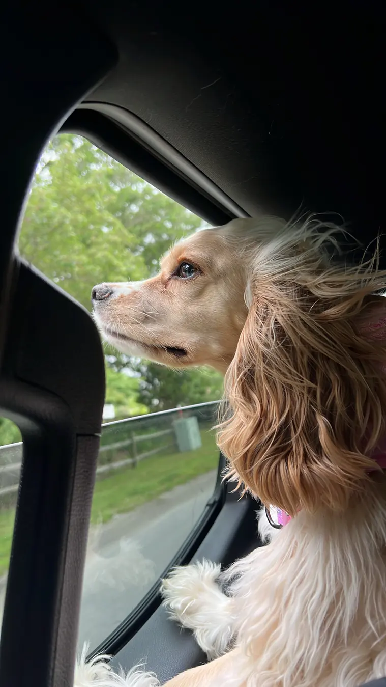 Sadie, Delaware bound