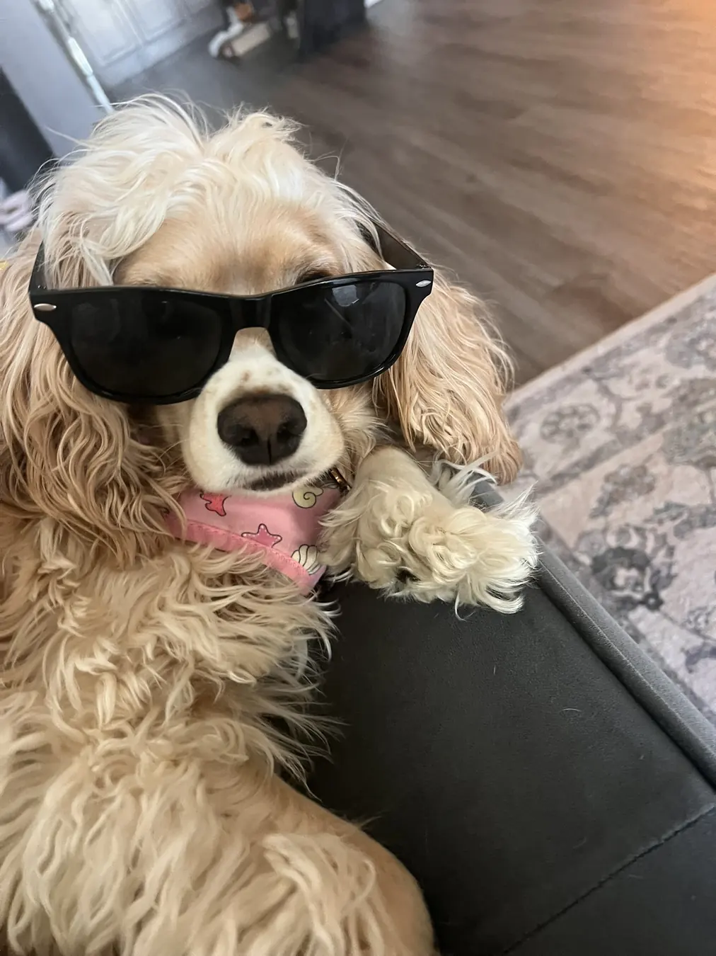 Sadie, too cool