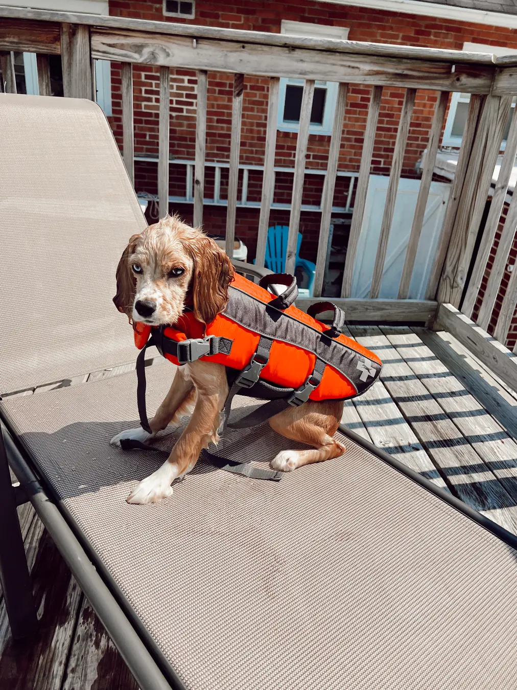 Sadie, captain sadie
