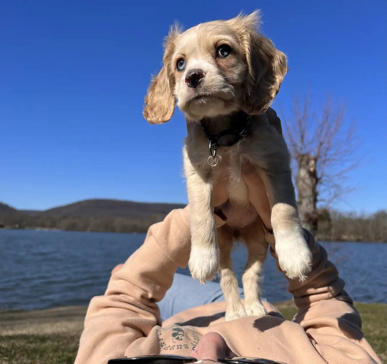 Sadie, lake day