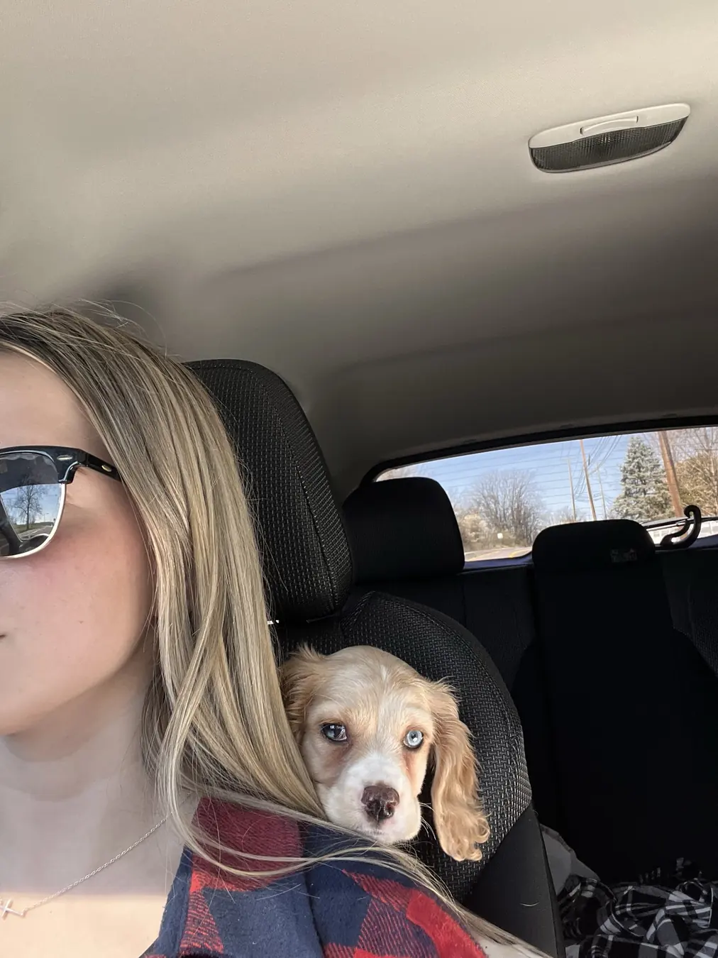 Sadie, co-pilot