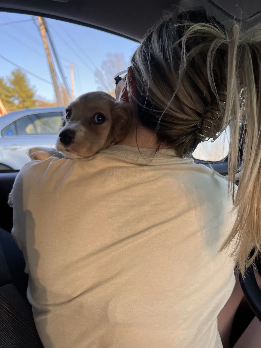 Sadie, shoulder ride