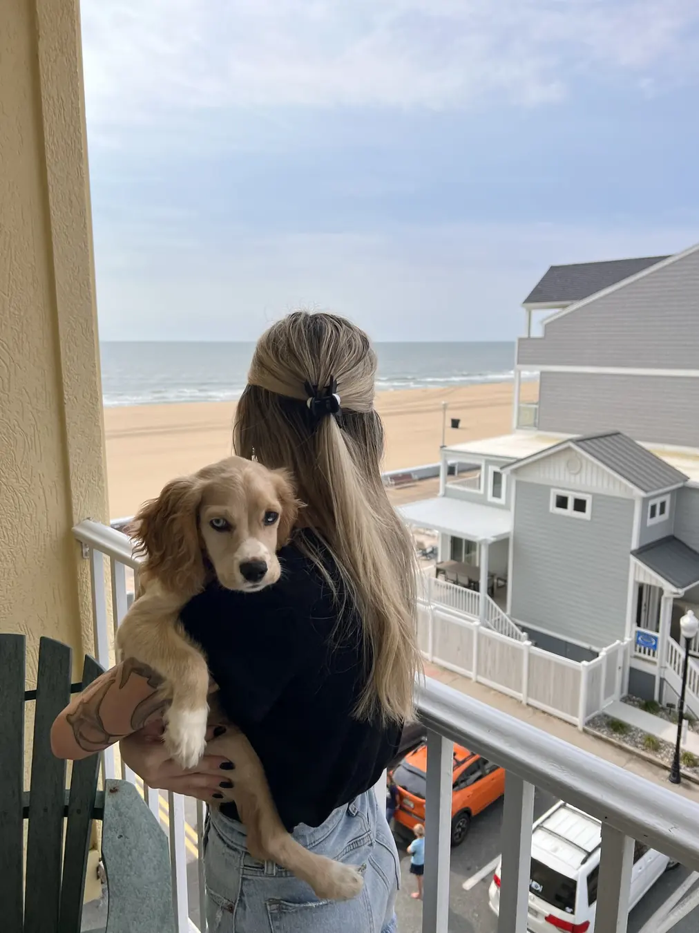 Sadie, beach balcony