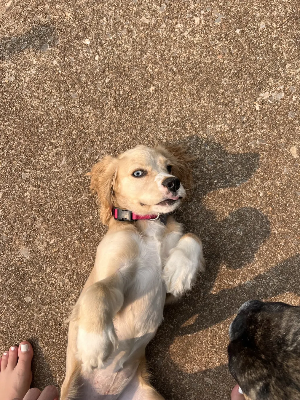 Sadie, look up!