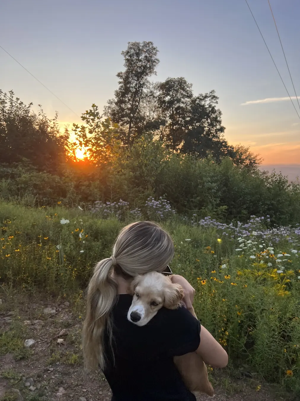Sadie, sunset watch