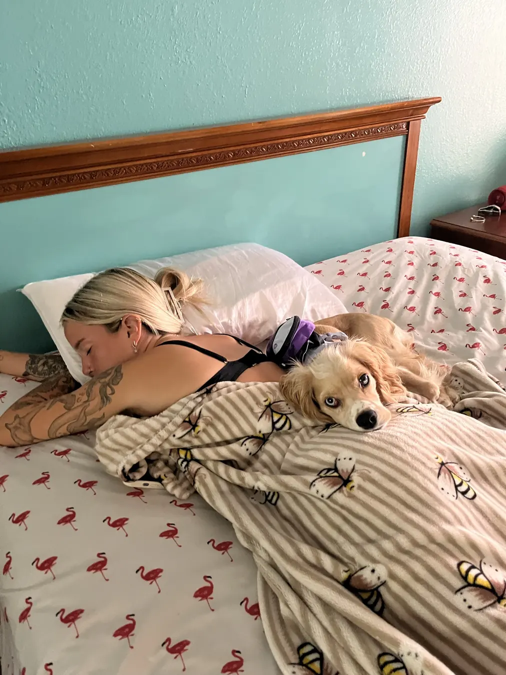 Sadie, morning snuggles