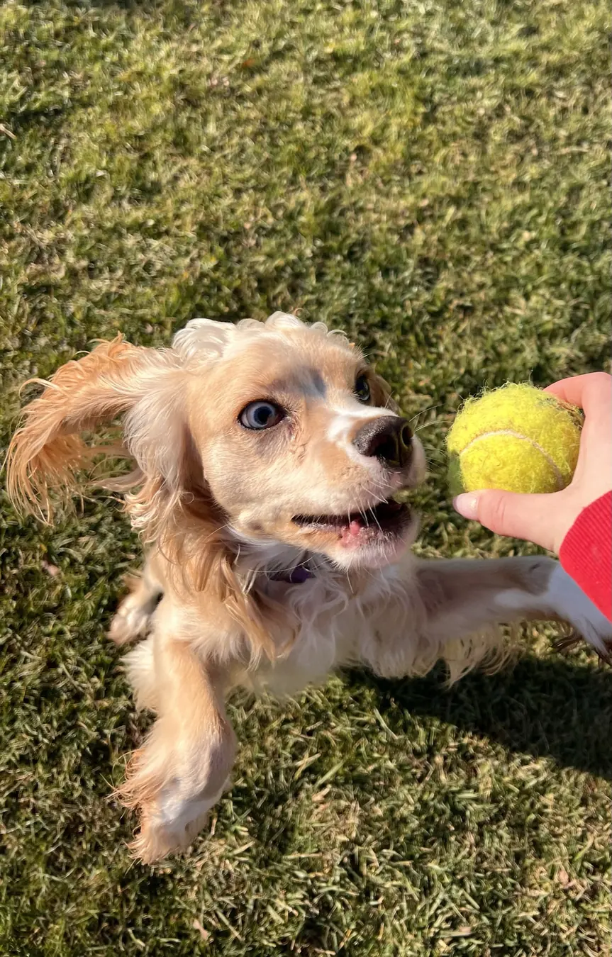 Sadie, fetch?