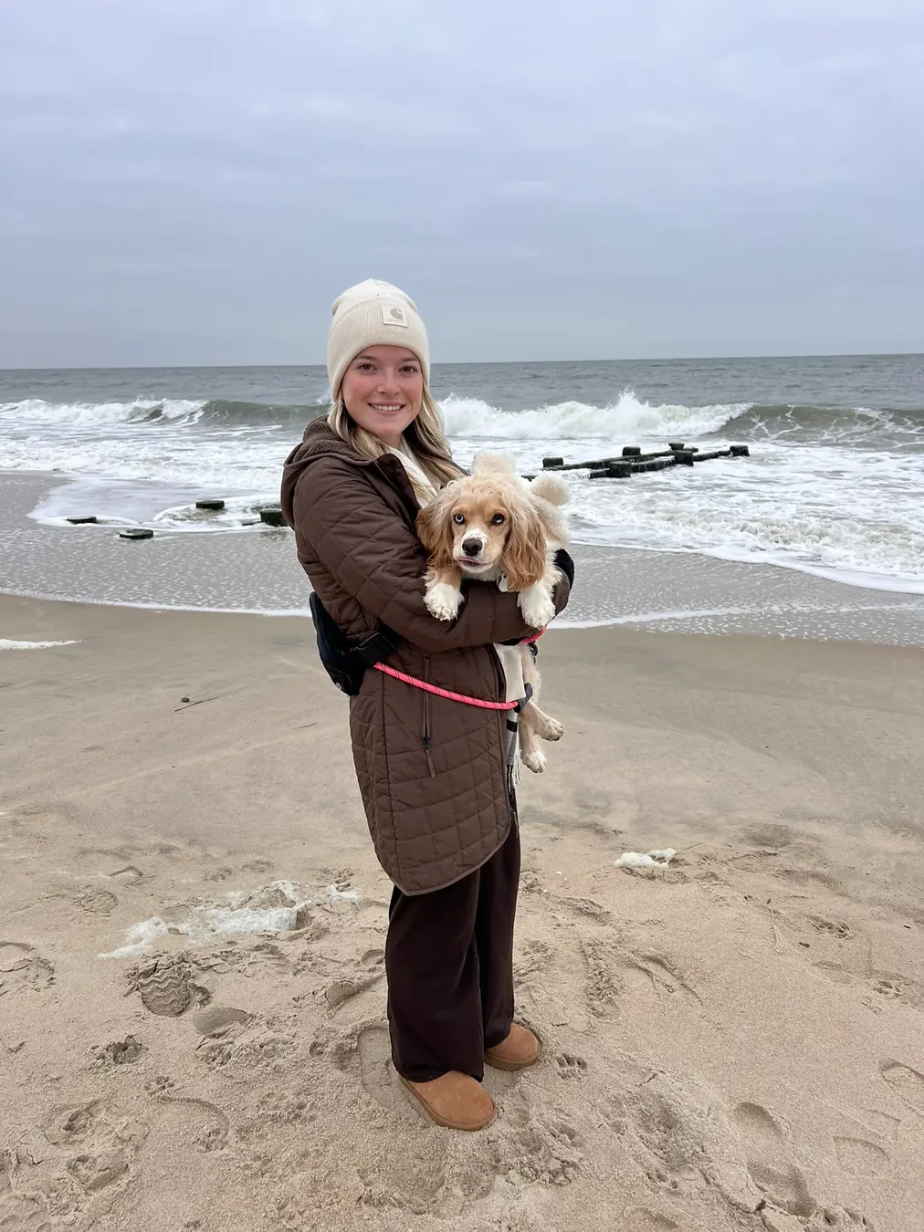 Sadie, winter beach